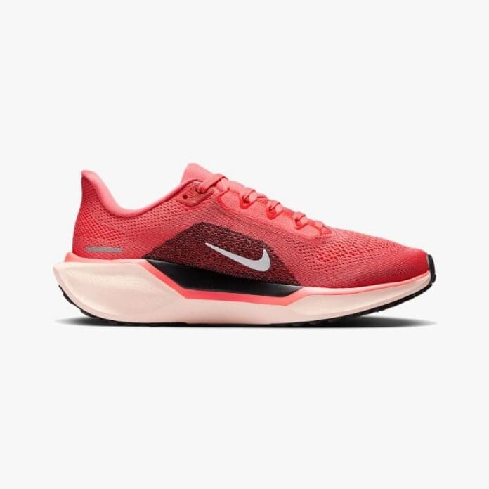 Nike Pegasus 41