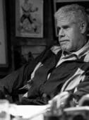 ron perlman hero