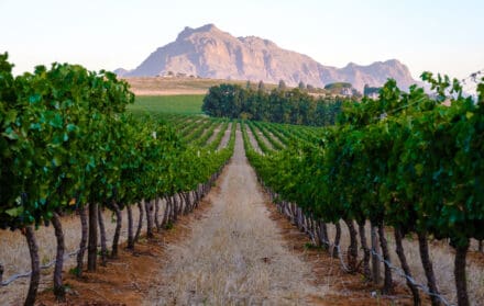 Franschhoek, South Africa