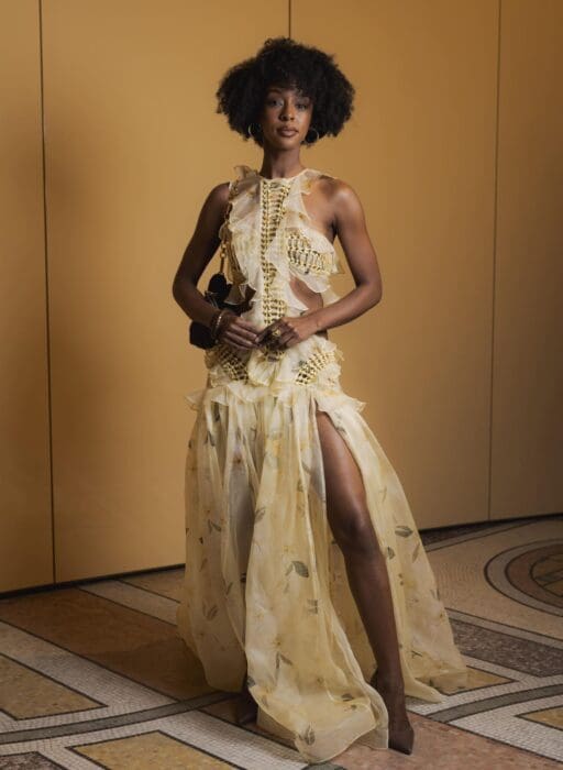 Ebony Obsidian in Zimmermann