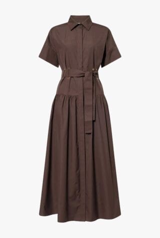 Max Mara Agoraio maxi dress