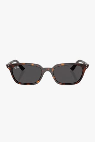 Ray-Ban acetate sunglasses