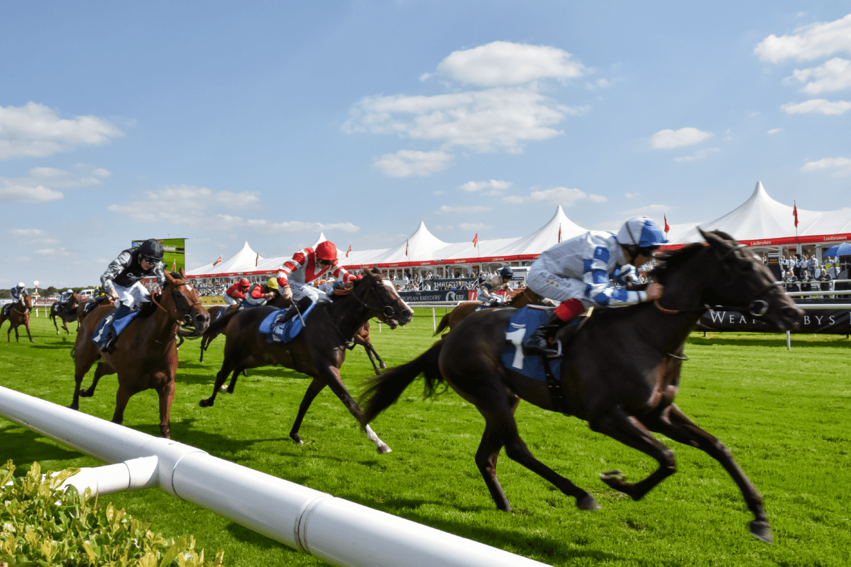 Seat Unique horse racing