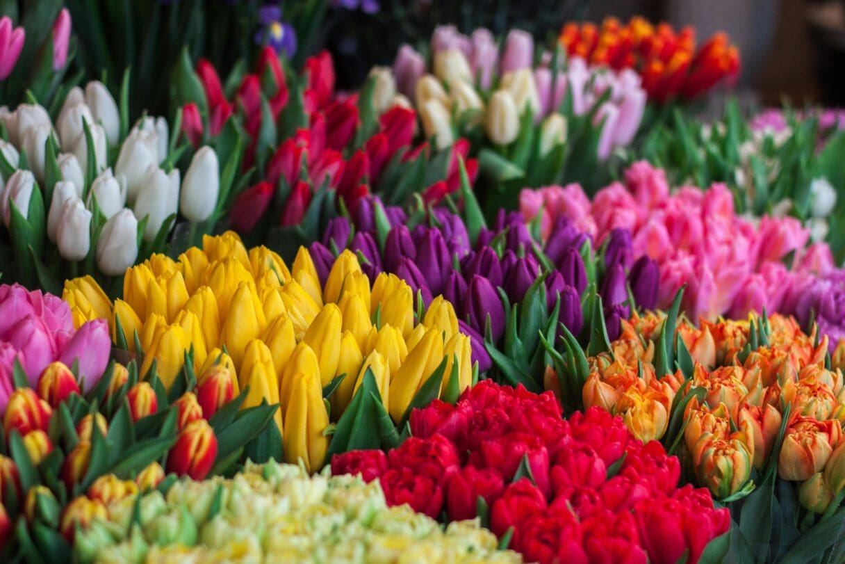 flower market