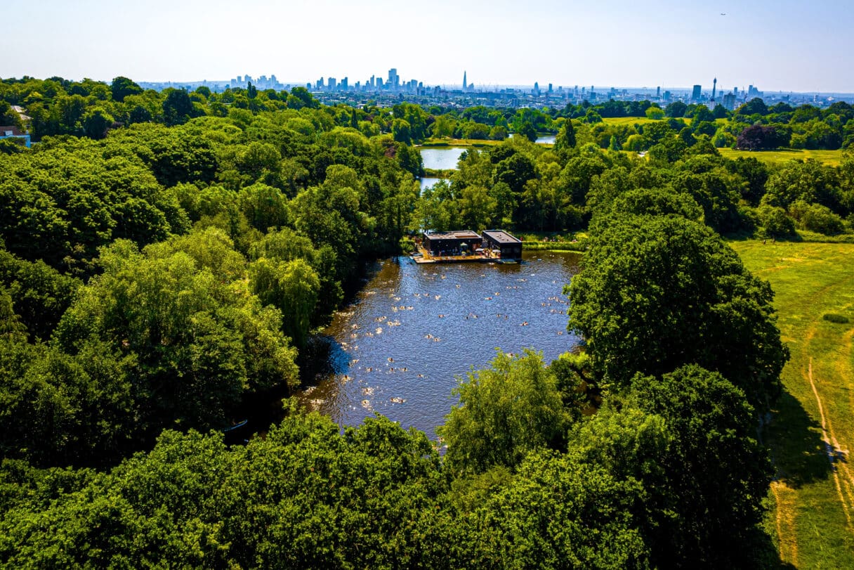 hampstead heath ponds