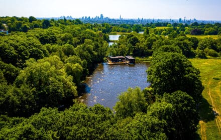 hampstead heath ponds