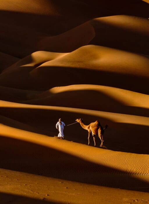 liwa desert