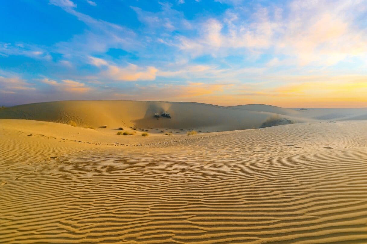 thar desert