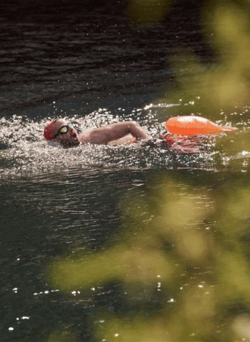 Open water swimming in Eden Dock