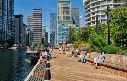 wood wharf boardwalk