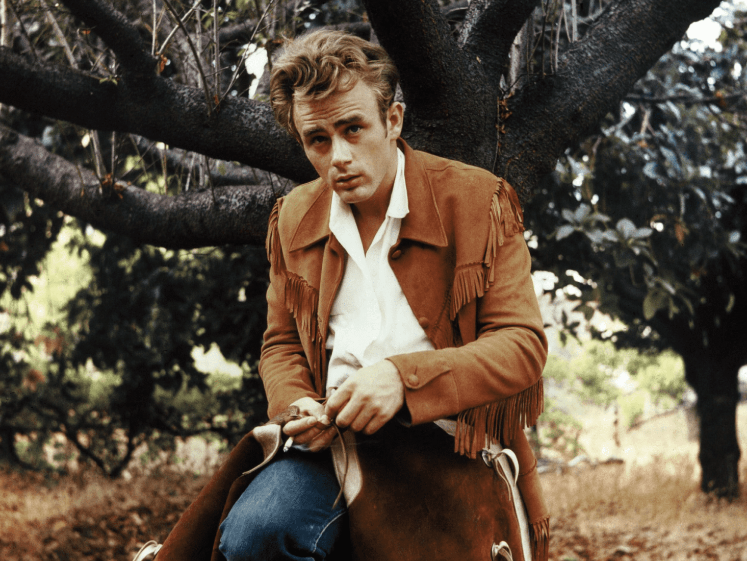 james dean men's suede jackets
