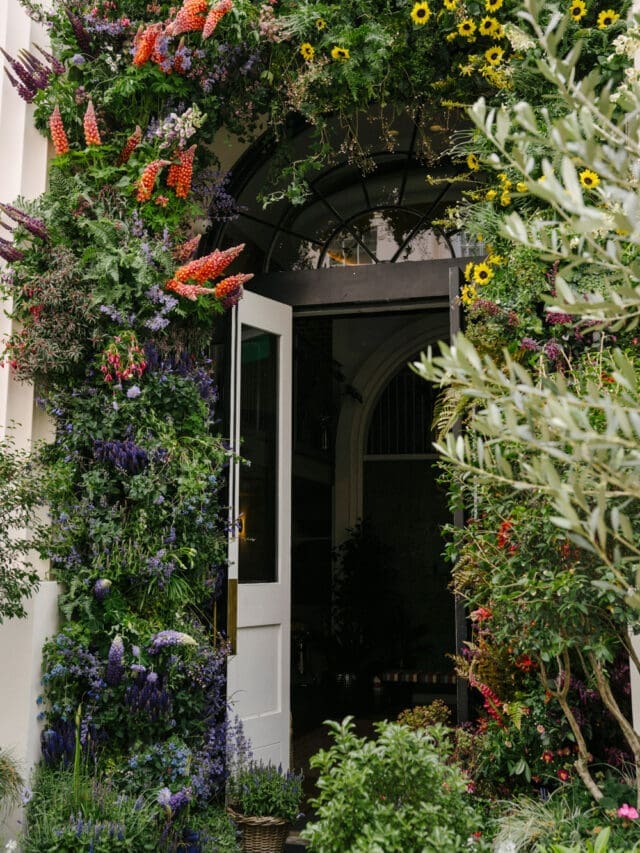 pantechnicon chelsea flower show