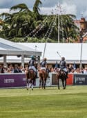polo in the park