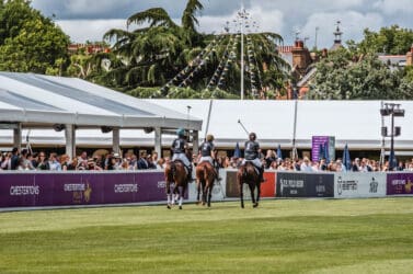 polo in the park