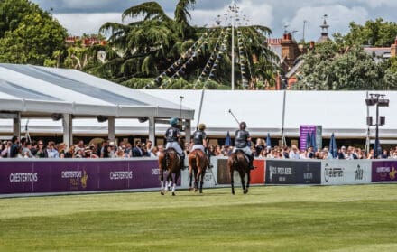 polo in the park