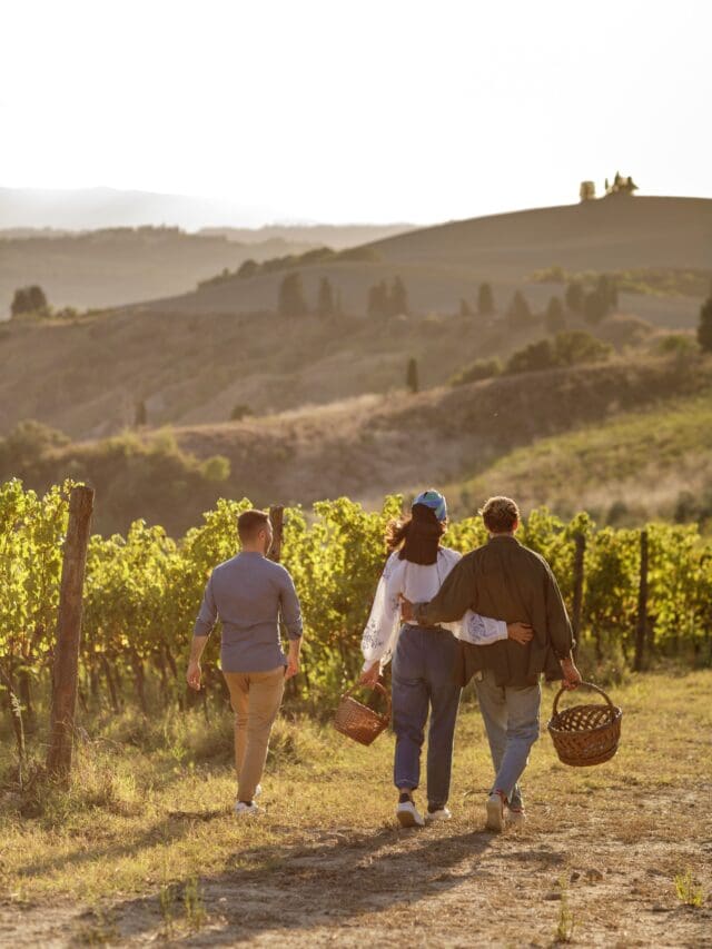 Castelfalfi wine tour