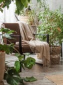 best houseplants