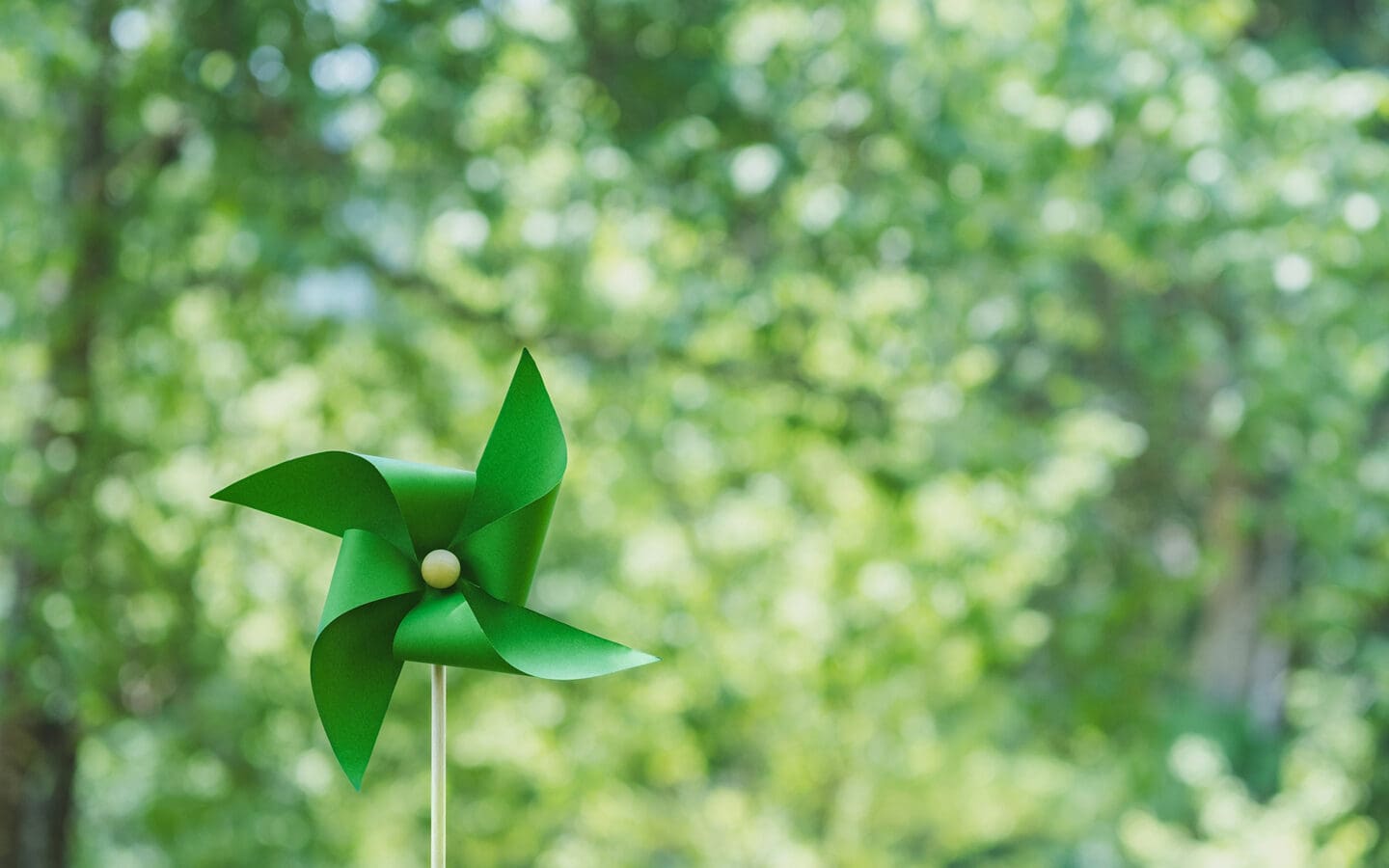 sustainable investments