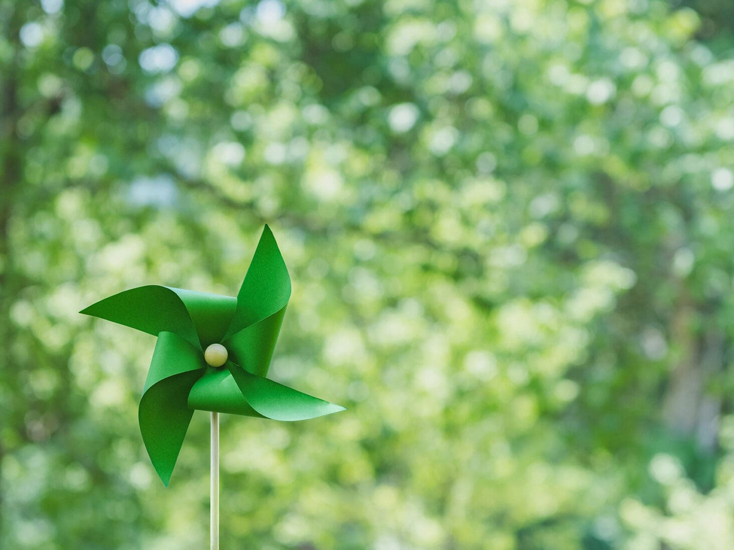 sustainable investments