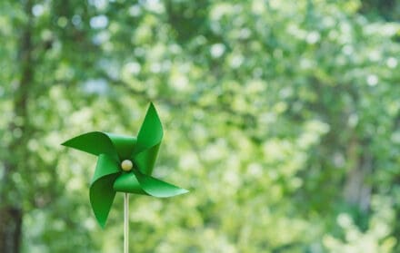 sustainable investments