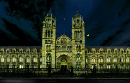 Suicide&Co Breaking the Ice Ball at the Natural History Museum