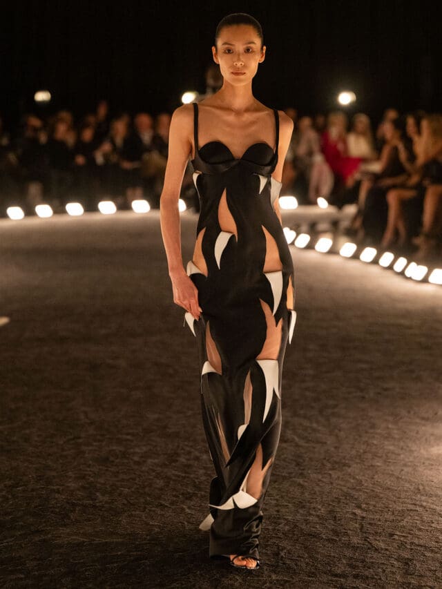 schiaparelli ss26