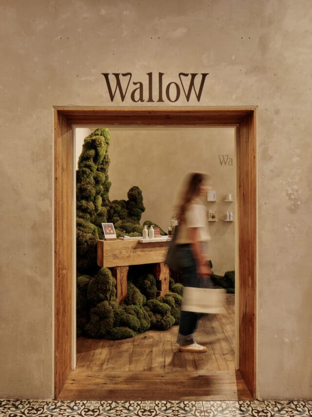 Wallow x Anthropologie