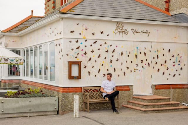 The Ugly Butterfly 2.0