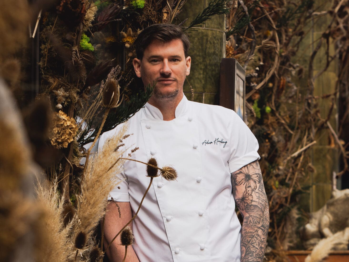 adam handling