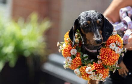 things to do in london in october 2025