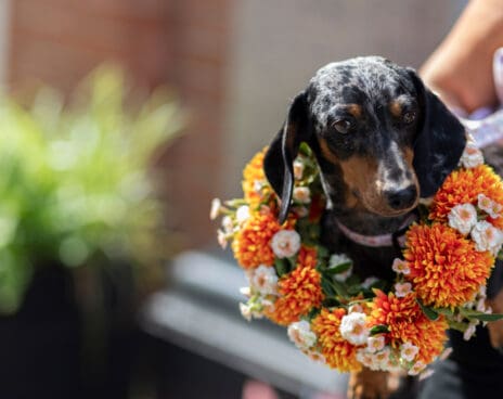 things to do in london in october 2025