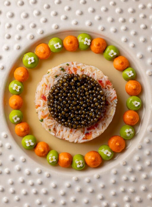 The Ugly Butterfly 2.0