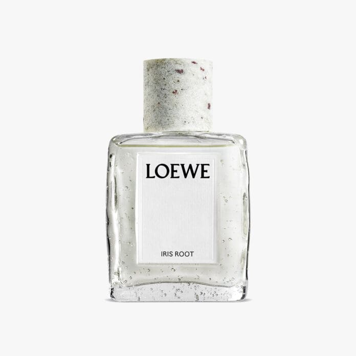 loewe iris root edp