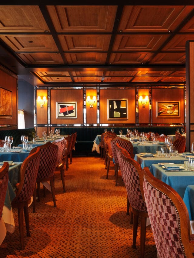 cavia kaspia new york