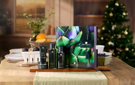 TEMPLESPA Christmas