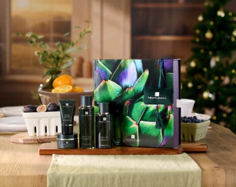 TEMPLESPA Christmas