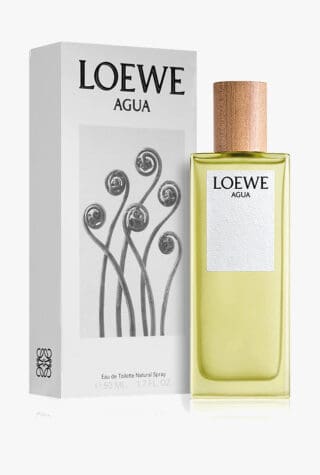 Loewe Agua
