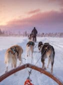 swedish lapland