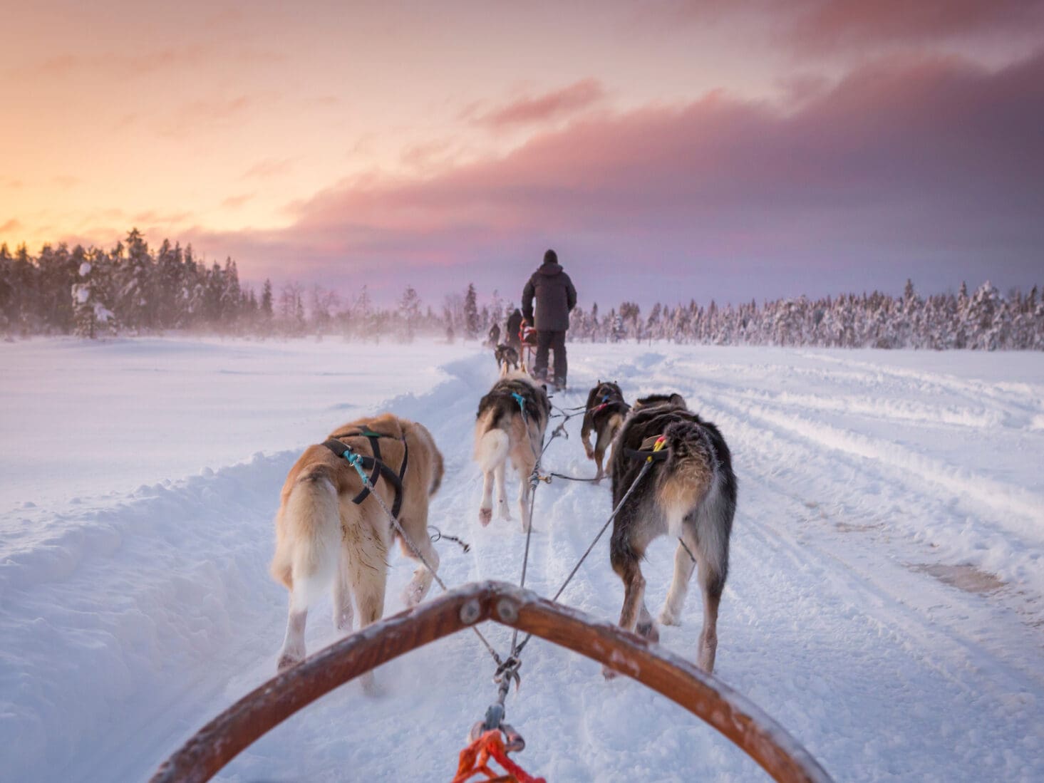 swedish lapland
