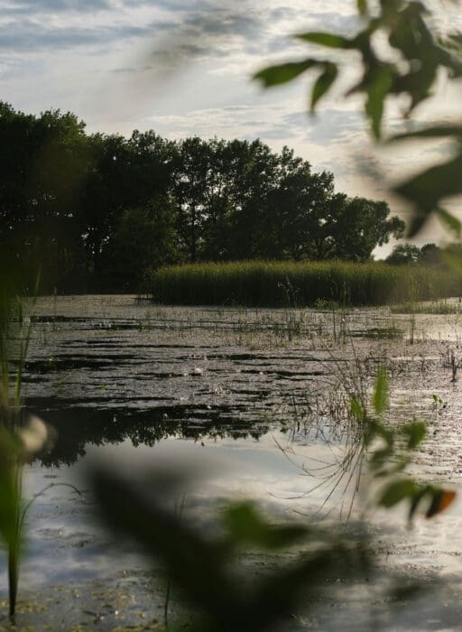 Walthamstow Wetlands