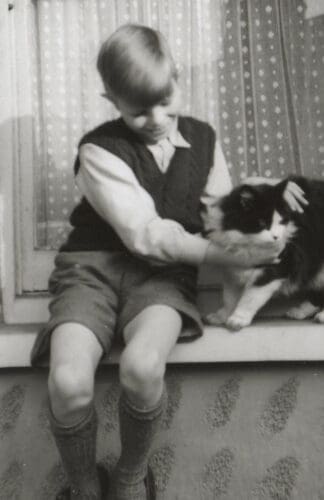 David Bowie