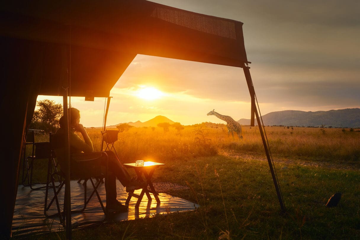 safari holiday