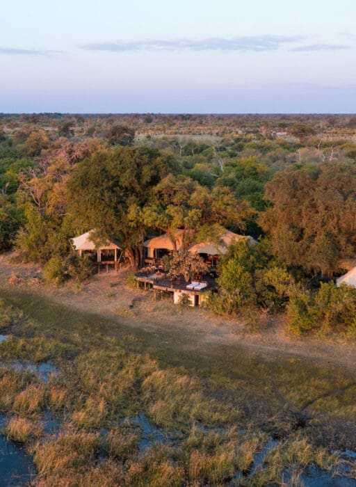 zarafa camp