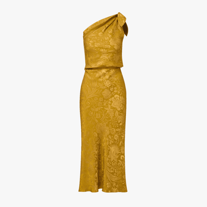 veronica beard grycen dress
