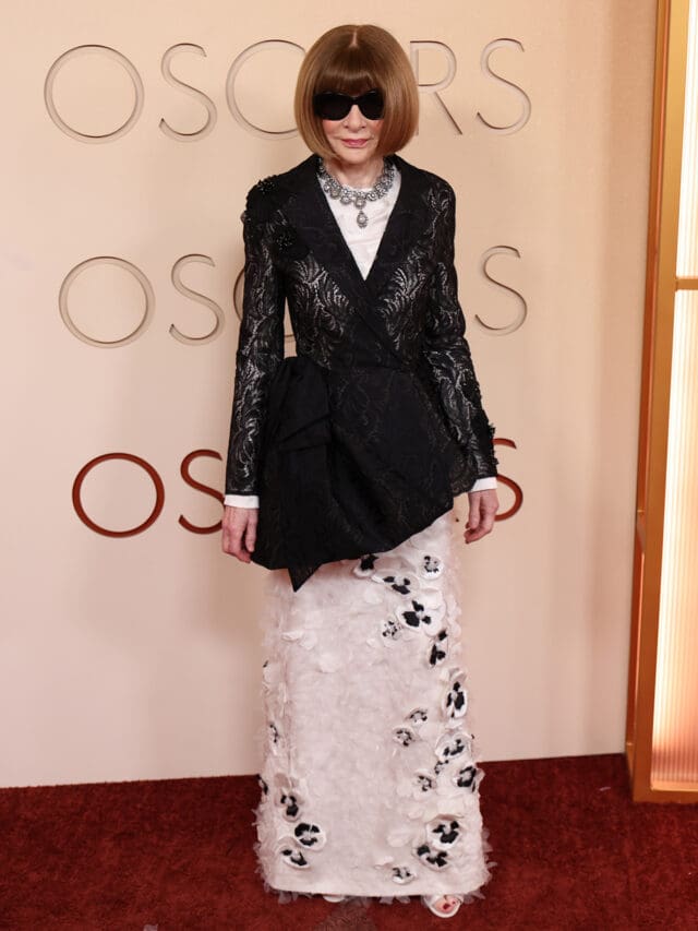 anna wintour socars 2026