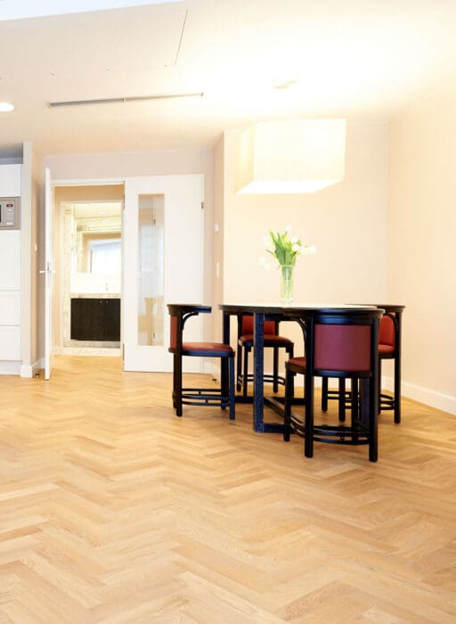 Apartments & Hote Singerstraße