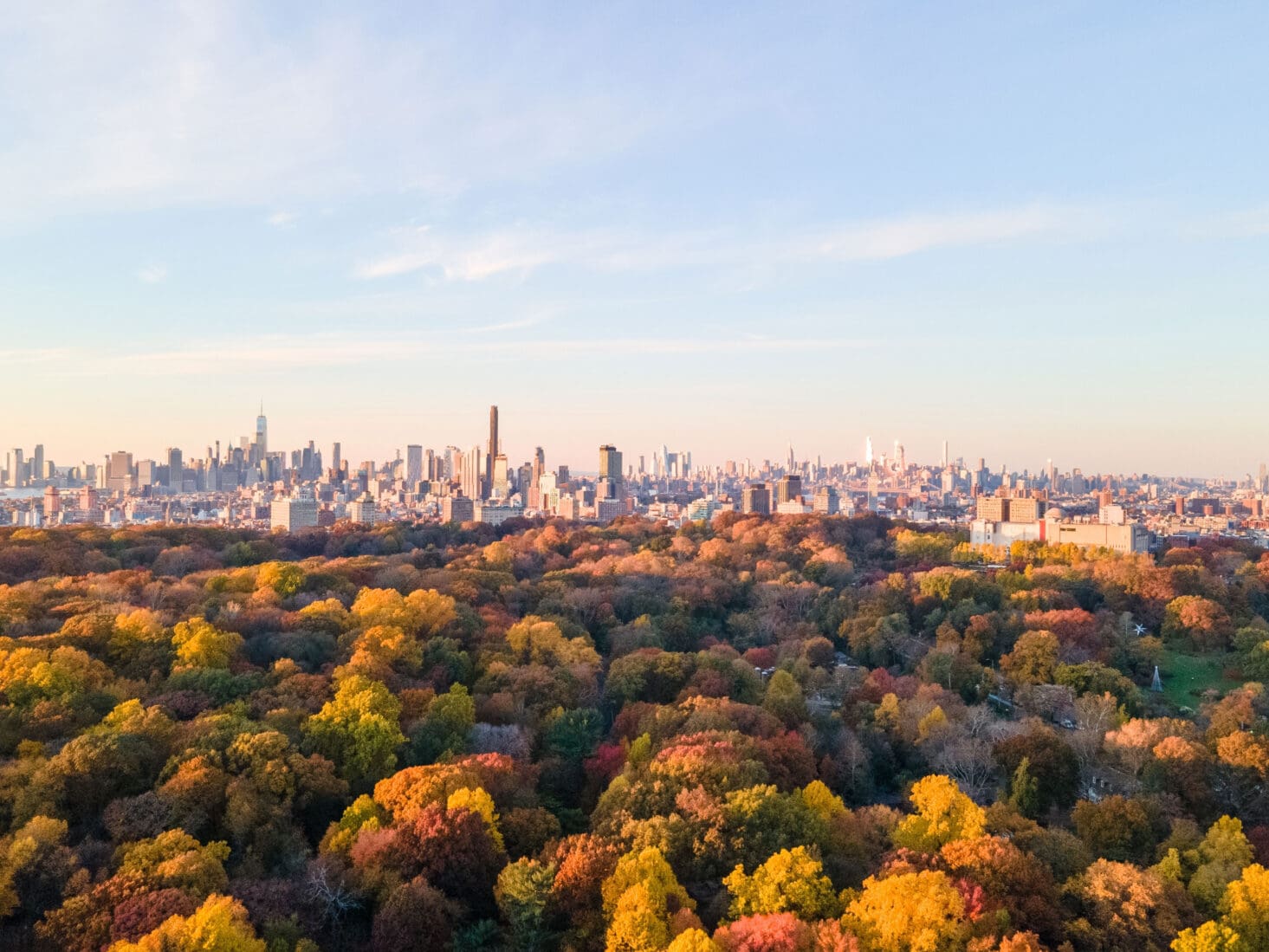 new york