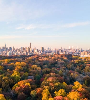 new york