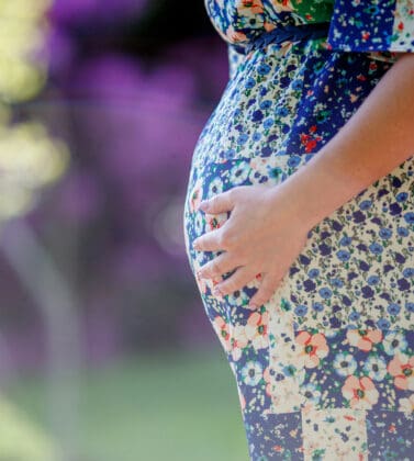 surrogacy and succession