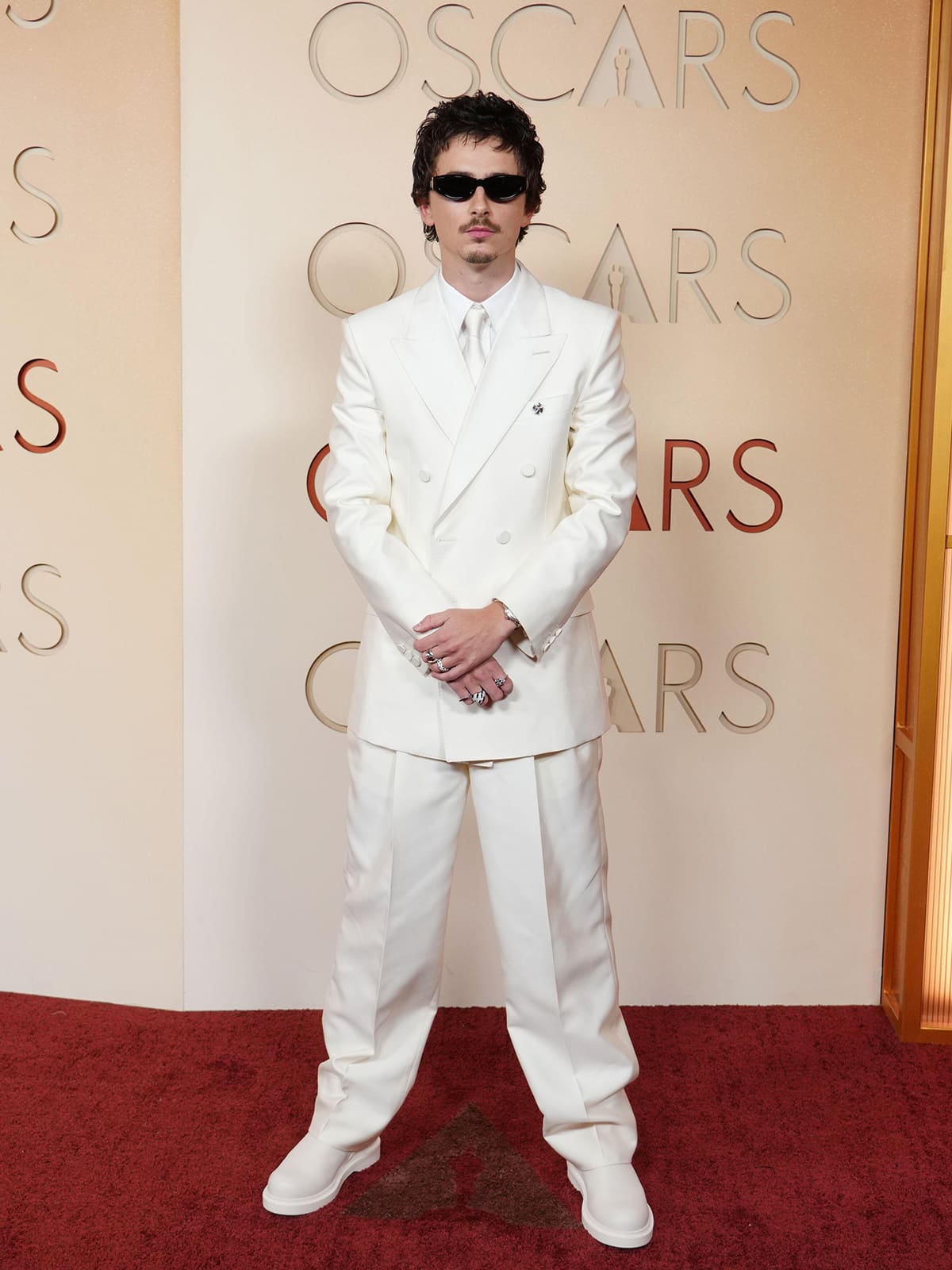 timothee chalamet oscars